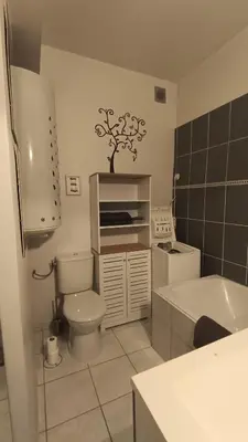 a small bathroom with a toilet and a sink at Appartement quartier Libération in Nice