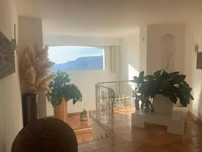 a living room with plants and a large window at Maison charmante à Aspremont avec piscine privative in Aspremont