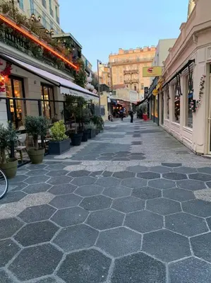 a cobblestone street with potted plants and buildings at ZEN & COSY - CARRÉ d'OR - Hyper centre - Plage in Nice