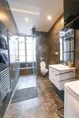 a bathroom with a shower and a toilet and a sink at Loft place Masséna avec terrasse in Nice