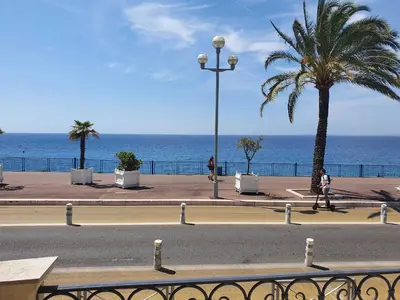 a street with a palm tree and the ocean at Villa kriss in Nice