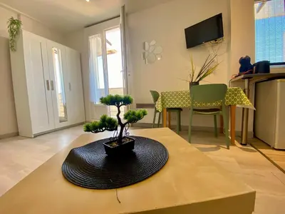 a living room with two trees on a table at STUDIO VERT FSHH in Nice