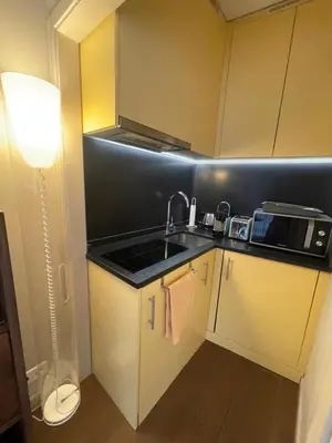 a small kitchen with a sink and a microwave at Royal lux promenade des anglais in Nice