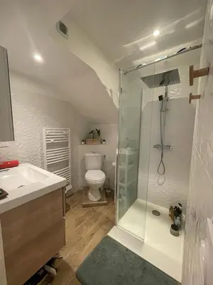 a bathroom with a shower and a toilet and a sink at Studio avec Terrasse à 5 minutes de la plage N6 in Saint-Laurent-du-Var