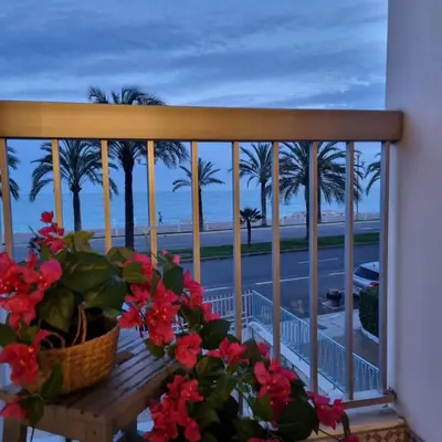 a balcony with a view of the beach and palm trees at Sunny Days in Nice