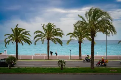 a group of palm trees on a street near the ocean at Sunny Days in Nice