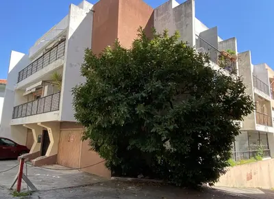 a large tree in front of a building at Appartement Nice Magnan in Nice