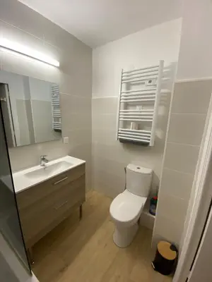 a bathroom with a toilet and a sink and a mirror at Appartement Nice Magnan in Nice