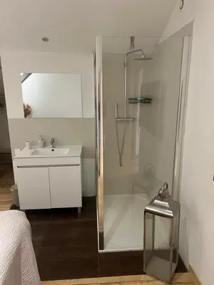 a bathroom with a shower and a sink and a toilet at Duplex quatre pièces - une chambre bébé à 5 minutes de la plage in Nice