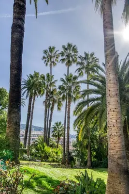 a group of palm trees in a park at 4 stars Palais Hermitage, 5 pers, AC, Full confort in Nice