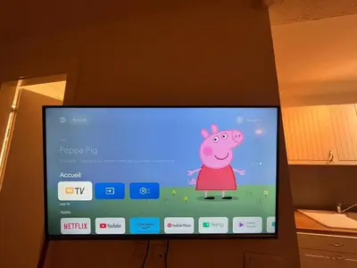 a flat screen tv with a cartoon pig on it at Beautiful studio - Terrace in Nice