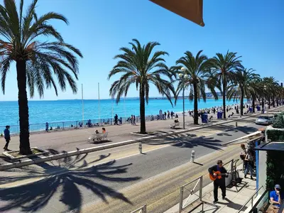 a view of a beach with palm trees and the ocean at Beau studio meublé hyper centre Nice in Nice
