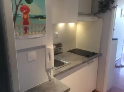 a kitchen with a sink and a knife in it at Beaulieu in Beaulieu-sur-Mer