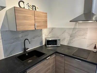 a kitchen with a sink and a microwave at STUDIO REFAIT A NEUF CENTRE DE NICE in Nice
