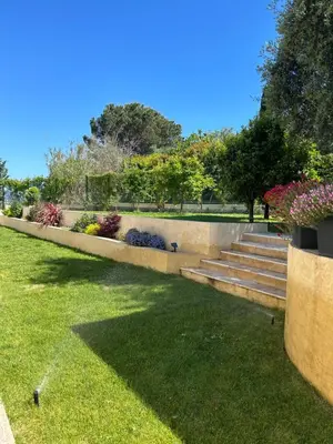 a view of a garden from a window at Duplex Oliveraie piscine au sel marin et parking in Nice