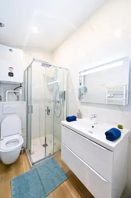 a bathroom with a shower and a toilet and a sink at Studio cozy avec terrasse n12 in Nice
