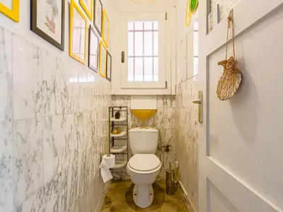 a bathroom with a white toilet in a room at Apartment Le Palais Foch by Interhome in Villefranche-sur-Mer