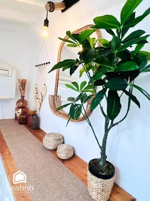 a plant in a pot in front of a mirror at Little Nest - Old Town - Breakfast - Wifi - AC in Nice