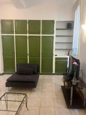 a living room with a couch and a green wall at Centrale - Grand T2 Bis proche de la mer in Nice