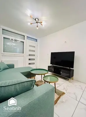 a living room with a couch and tables and a tv at Charming Downtown - AC - WiFi - Private Entrance in Nice