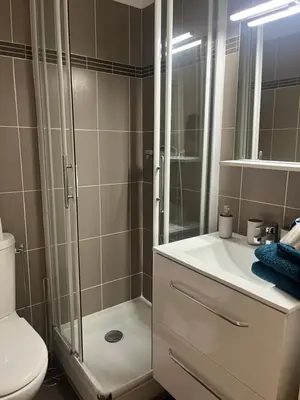 a bathroom with a shower and a sink and a toilet at Studio piscine climatisation tennis in Nice
