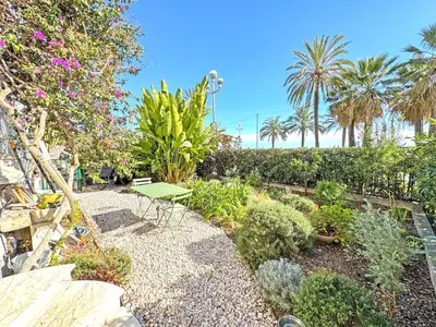 a garden with a bench and plants and palm trees at Cosy Sea Front Garden Nice in Nice