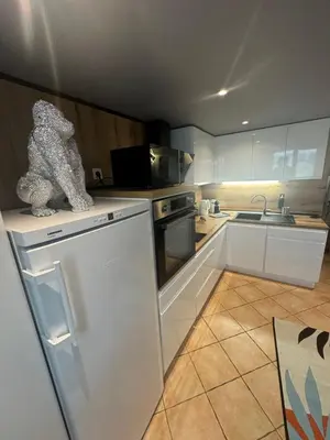a kitchen with a dog statue sitting on the counter at Duplex proche port de Nice in Nice