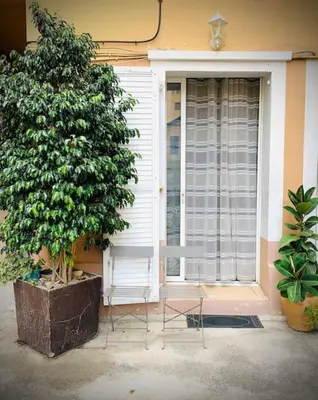 a chair sitting in front of a window next to a tree at Petit studio de charme in Villefranche-sur-Mer