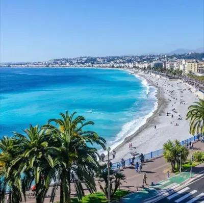 a view of a beach with palm trees and the ocean at City Center - Magnificent Apartment - Cozy - Wifi in Nice
