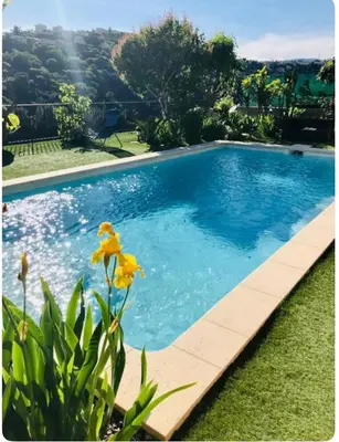 a blue swimming pool with a yellow flower in the foreground at Nissa la bella, Piscine et vue mer in Nice