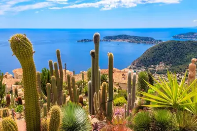 a group of cacti and other plants in front of the ocean at LE MIOLLIS - CENTRAL et CONFORT - WIFI- prés tansports en commun et commerces in Nice