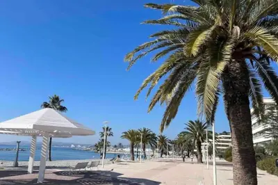 a palm tree next to a beach with a palm tree at Appartement avec piscine in Saint-Laurent-du-Var
