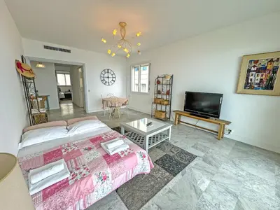 a living room with a bed and a flat screen tv at Milord Promenade 4 in Nice