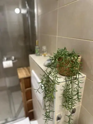 a plant sitting on top of a toilet in a bathroom at Studio Coeur Delille FSHH in Nice