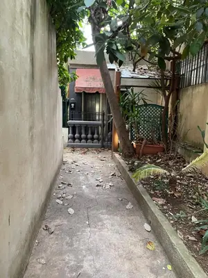 a walkway leading to a house with a tree at Cosy flat 250m from beach in Nice