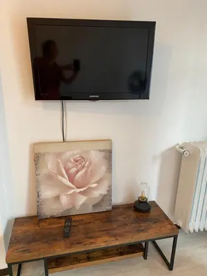a picture of a flower on a table with a tv at Appartement Flores in Nice