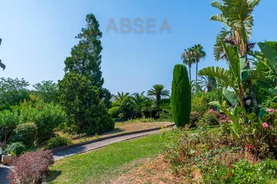 a road in a garden with trees and plants at Nice Absea Fabron 2 in Nice