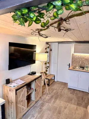a room with a kitchen with a table and a tree on the ceiling at Jungle avec Jaccuzi au coeur de Nice in Nice