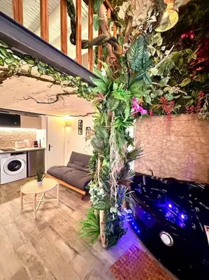 a living room with a car parked next to a wall at Jungle avec Jaccuzi au coeur de Nice in Nice