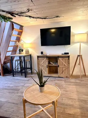 a living room with a flat screen tv on a wall at Jungle avec Jaccuzi au coeur de Nice in Nice