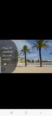 two palm trees on a beach with a sign that reads phase hawaiian at Grand Appartement, 2 ou 3 ou 4 pieces, tramway sur place, proche gare sncf St Augustin 5 min, aéroport à 7 min, plage ou Allianz riviera 10 min, palais nikaia 2 min , supermarché sur place, parking possible si disponible ou payant à 1000 metre in Nice