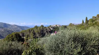 a view of a hill with trees and houses on it at Olive Grove Retreat in La Trinité