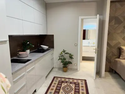 a kitchen with white cabinets and a plant in it at Extraordinaire grand studio au centre 6 minutes à pied de la plage et l'hôtel Negresco in Nice