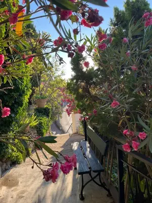 a bench sitting in a garden with pink flowers at Villa Riviera vue panoramique MER et NATURE in Èze