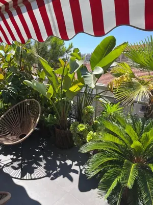 a patio with palm trees and an umbrella at Splendide penthouse au coeur de Nice in Nice