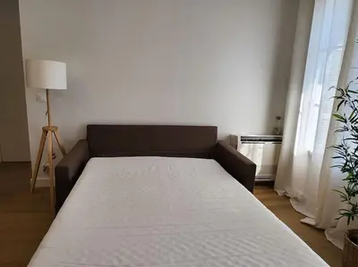 a couch in a living room with a bed at Nice Fac St Jean D'Angely in Nice