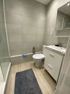 a bathroom with a toilet and a sink and a shower at Proche promenade des anglais in Nice