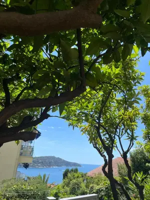 a view of the ocean through the trees at Studio avec grande terrasse YourHostHelper in Villefranche-sur-Mer