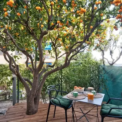 Studio avec grande terrasse YourHostHelper