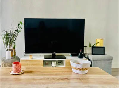 a living room with a large television on a table at Spacieux 4 couchage plein centre in Nice
